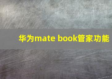 华为mate book管家功能